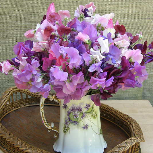 a vase filled with purple pink and white flowers