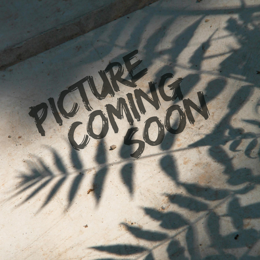 a concreet image with plant shadows and text that says picture coming soon
