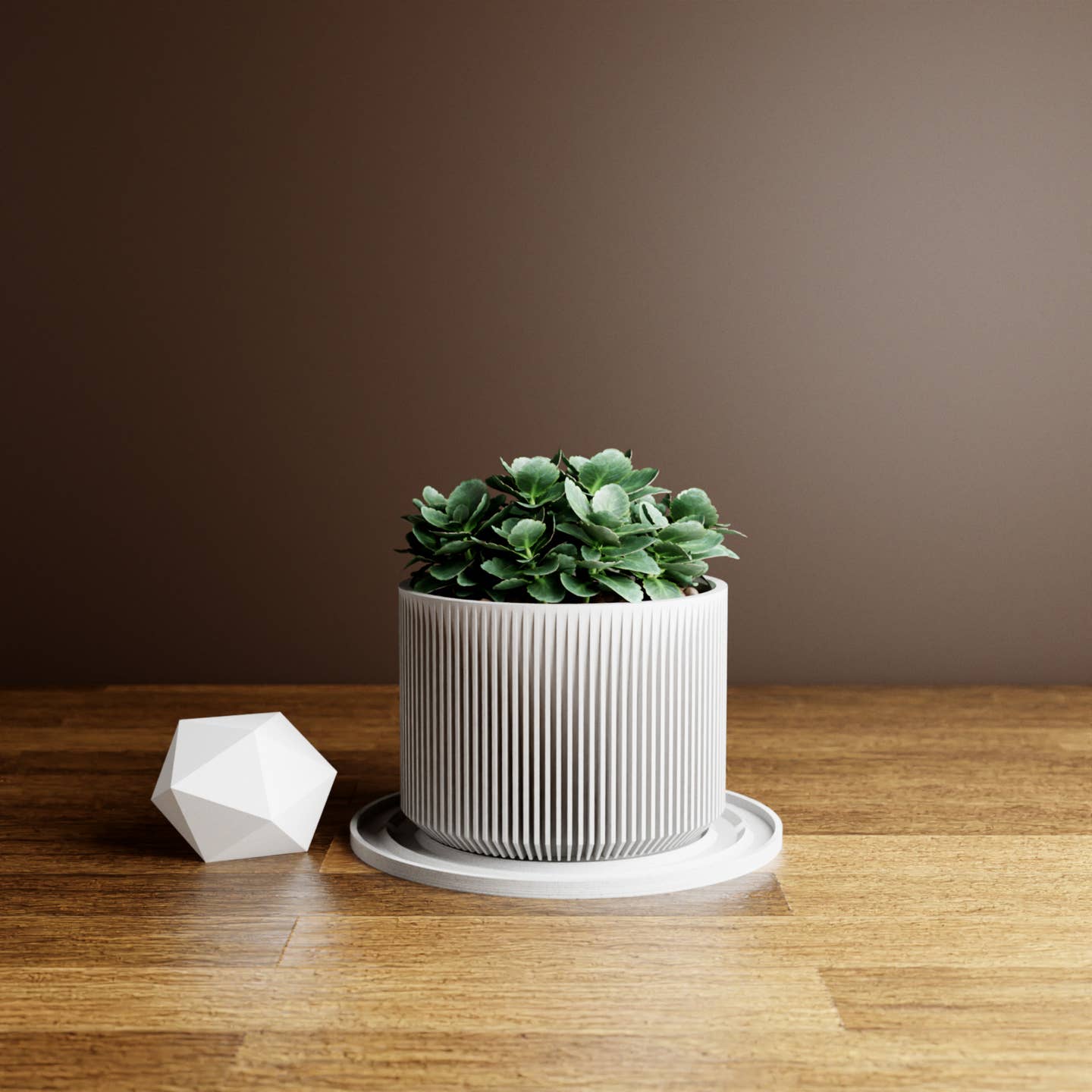 a potted plant in a white pot resting on a white puddle saucer drip tray