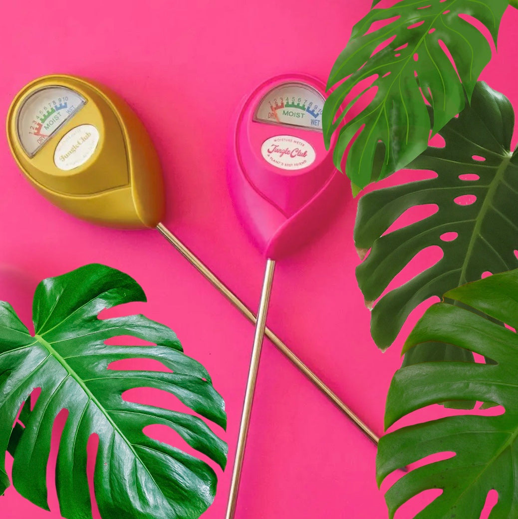 a bright pink and a yellow moisture meter on a bright pink background surrounded by plants
