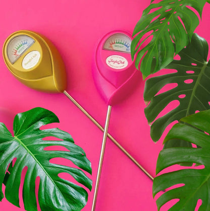 a bright pink and a yellow moisture meter on a bright pink background surrounded by plants