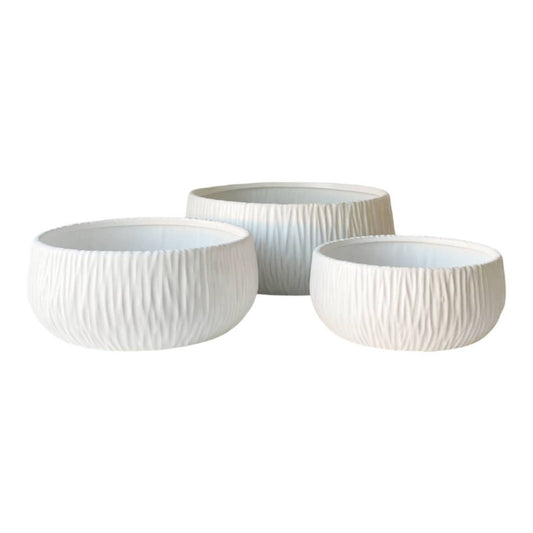 A set of three white ceramic planters with a glossy finish and linear detailing, available in different sizes.