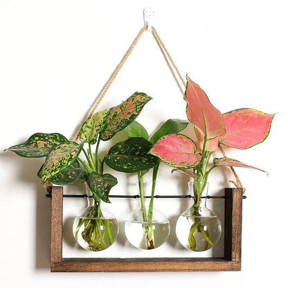 a wooden plant propagation station with glass jars growing propagations