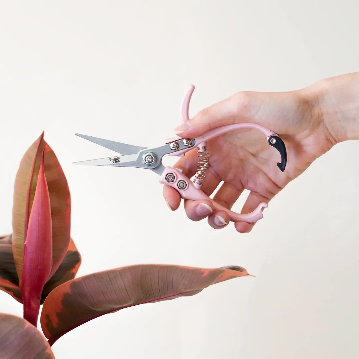 a hand holding and using pink pruning shears