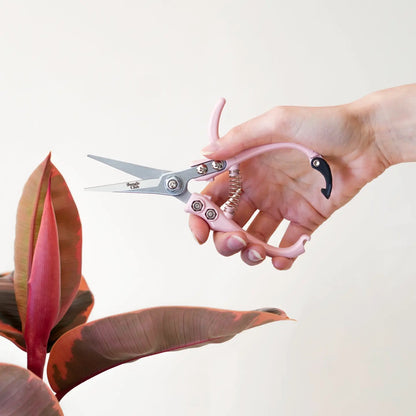 a hand holding and using pink pruning shears