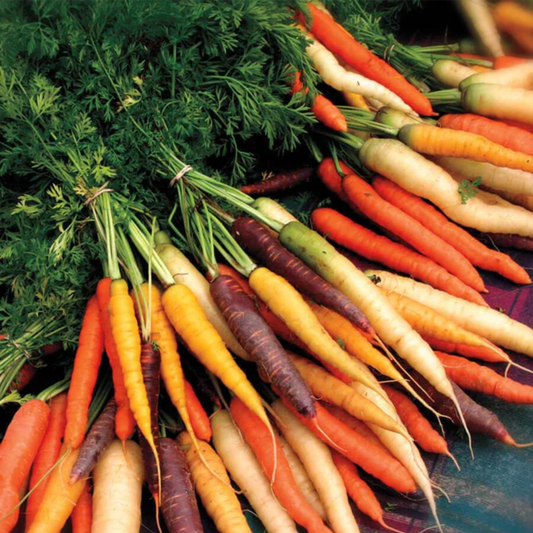 a large pile of multi coloured rainbow blend carrots all stacked on top of each other