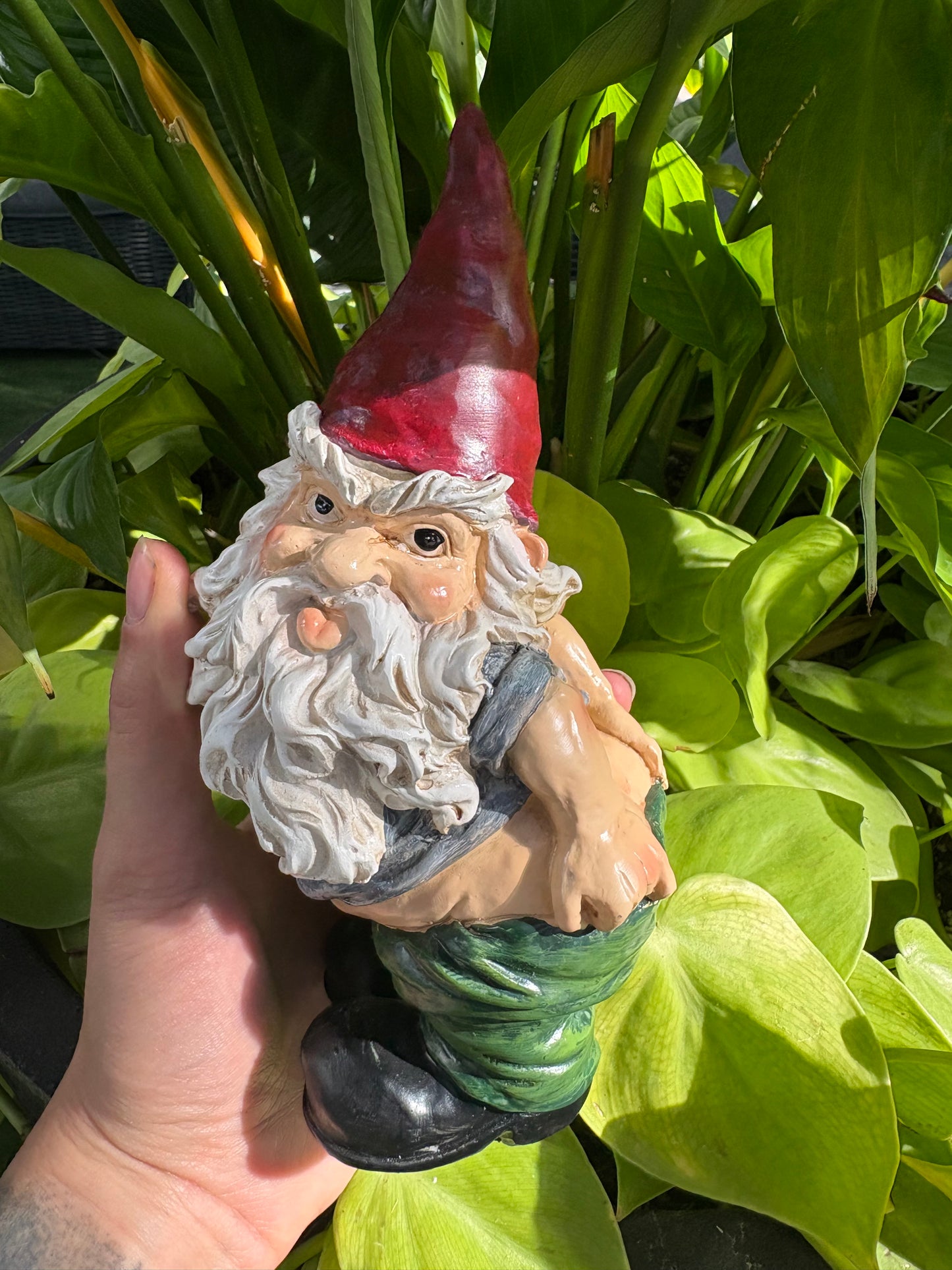 Gnome figurine held in front of green plants