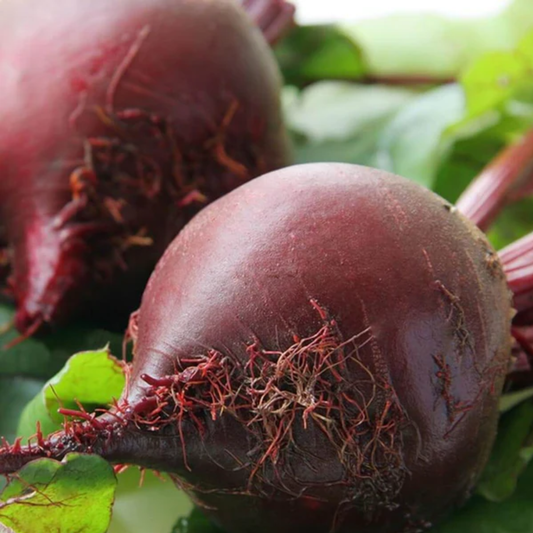 two red ace beets surrounded by greenery