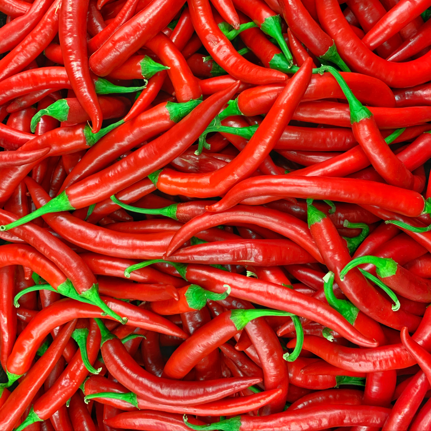 a large pile of bright red ring of fire peppers with green stems