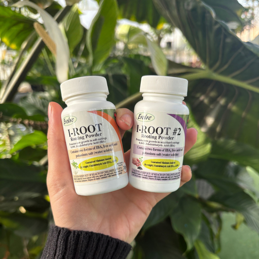 a person holding two small containers of rooting powder with plants in the background