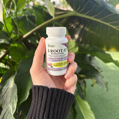 a person holding a small white container labeled I-ROOT #2 rooting powder with plants in the background