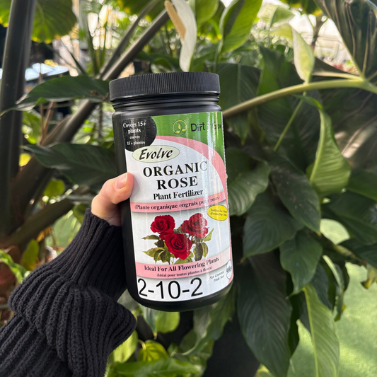a person holding a black container with a label that reads organic rose plant fertilizer with an image of roses on the front of the package with many tropical plants in the background