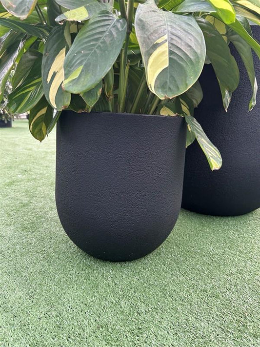 Two matte black planters with a vine plant, on a grass-like surface.