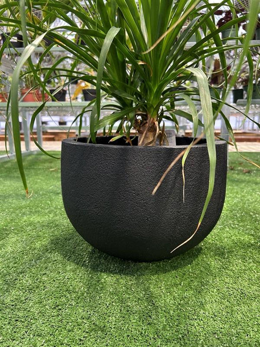round black planter with plant sitting on grass like surface