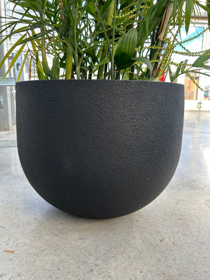 a black matte rustic round planter with green foliage coming out of the top