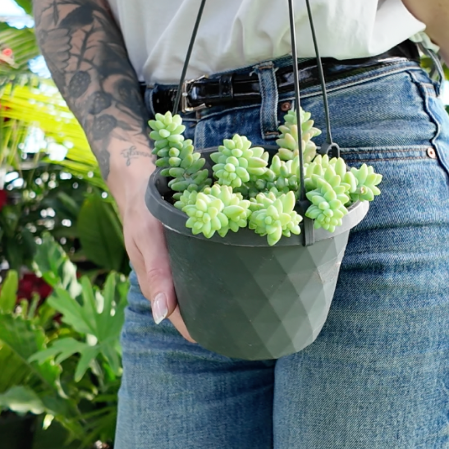 a person holding a burros tail plant in a greenhouse setting