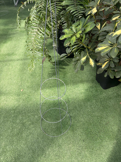 Metal tomato cage garden trellis on a grassy surface with plants in the background