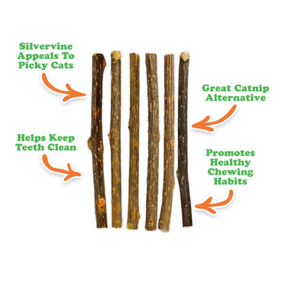 six silver vine cat chew sticks laid out on a white surface