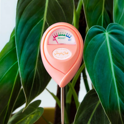 indoor plant soil moisture sensor Soil Moisture Meter