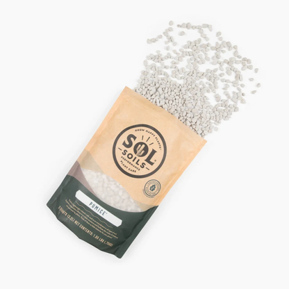 a tan bag of sol soils pumice with its white rock like contents spilled not the white background