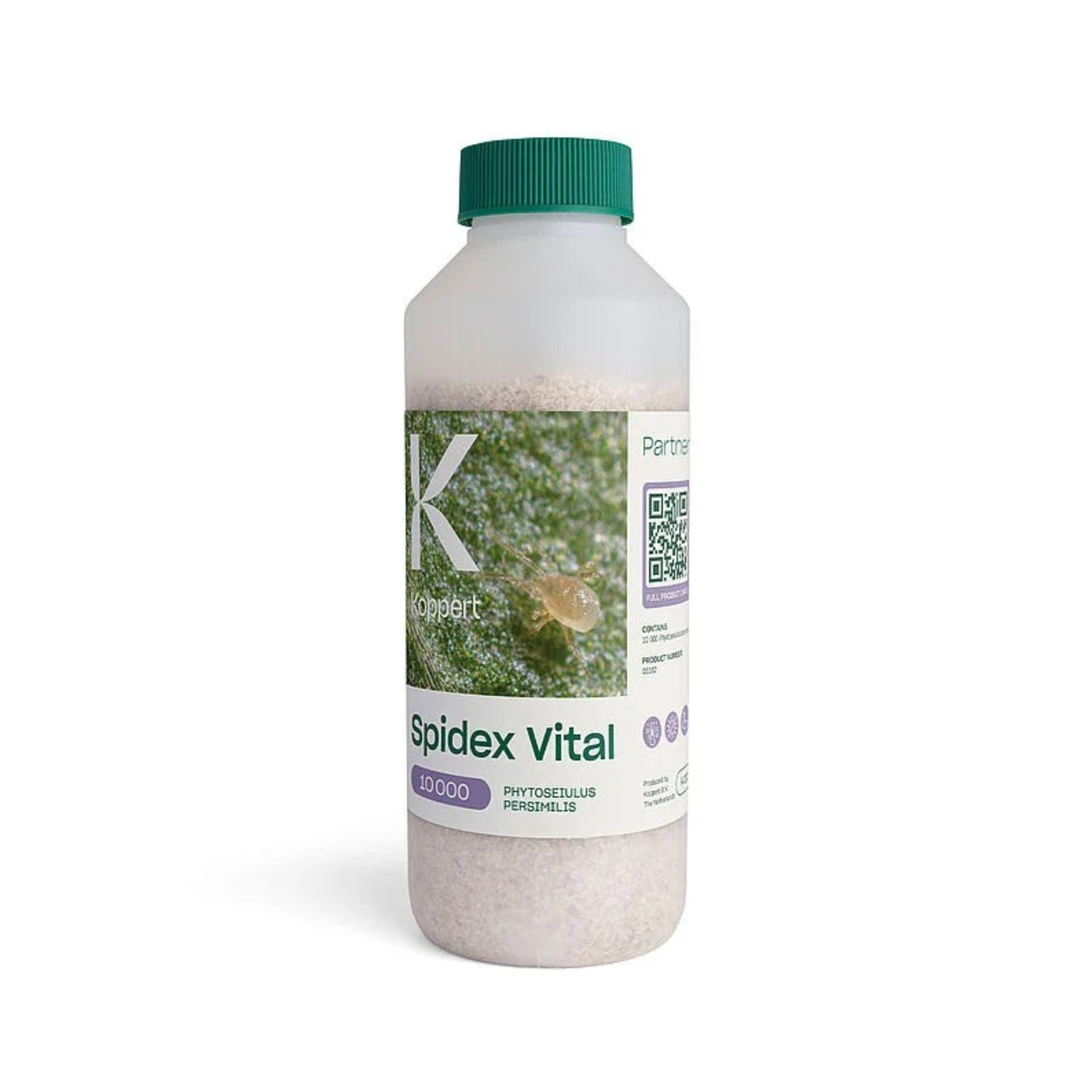 a clear bottle with a green lid of spidex vital beneficial bugs
