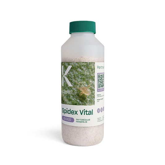 a clear bottle with a green lid of spidex vital beneficial bugs