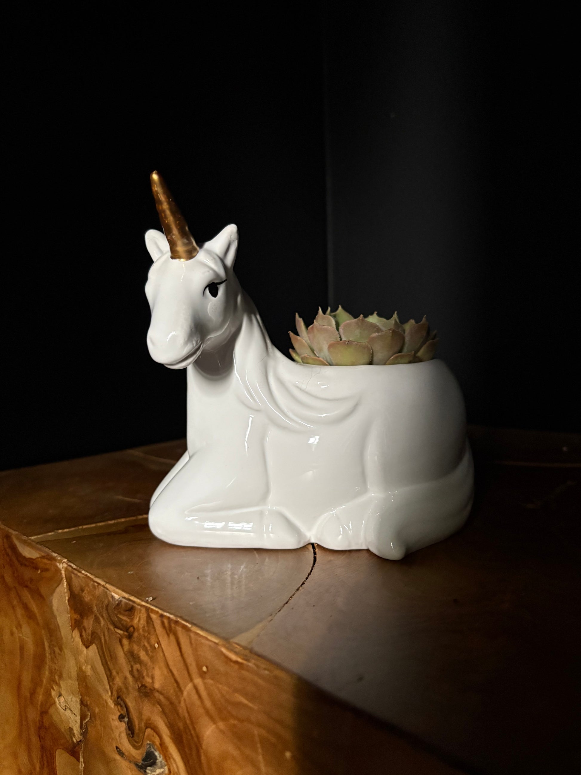 White ceramic unicorn planter on a wooden surface with a dark background