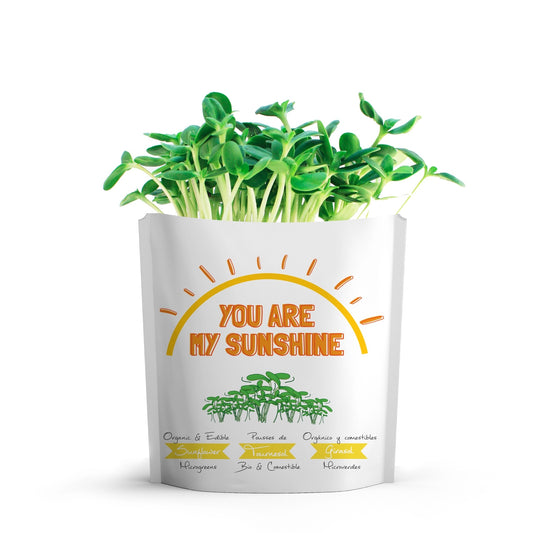 a white bag like package that says you are my sunshine with the top open and small green stems of sunflower micro green growing out of the package against a white background