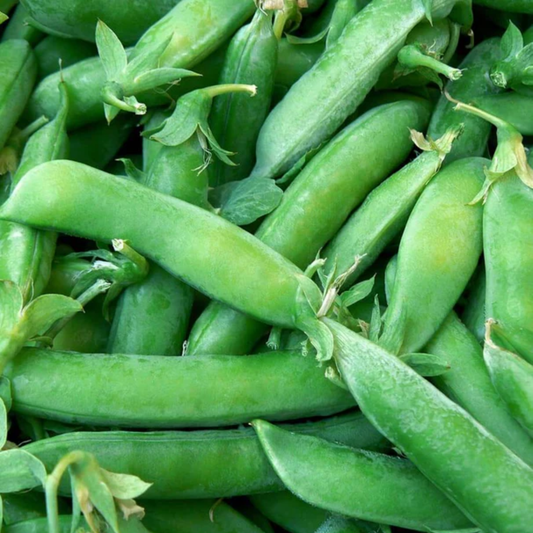 a pile of bright green super sugar snap peas