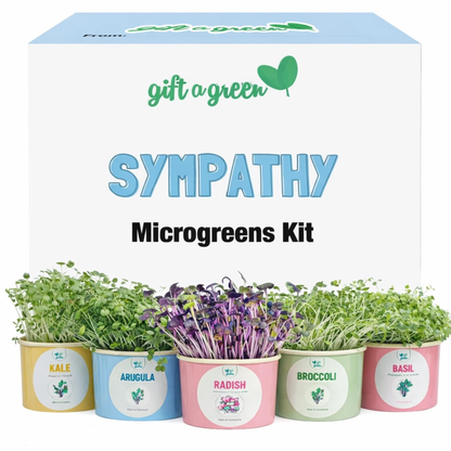 an image of the sympathy microgreen kit with colourful pots with microgreen growing out of the pots on a white background