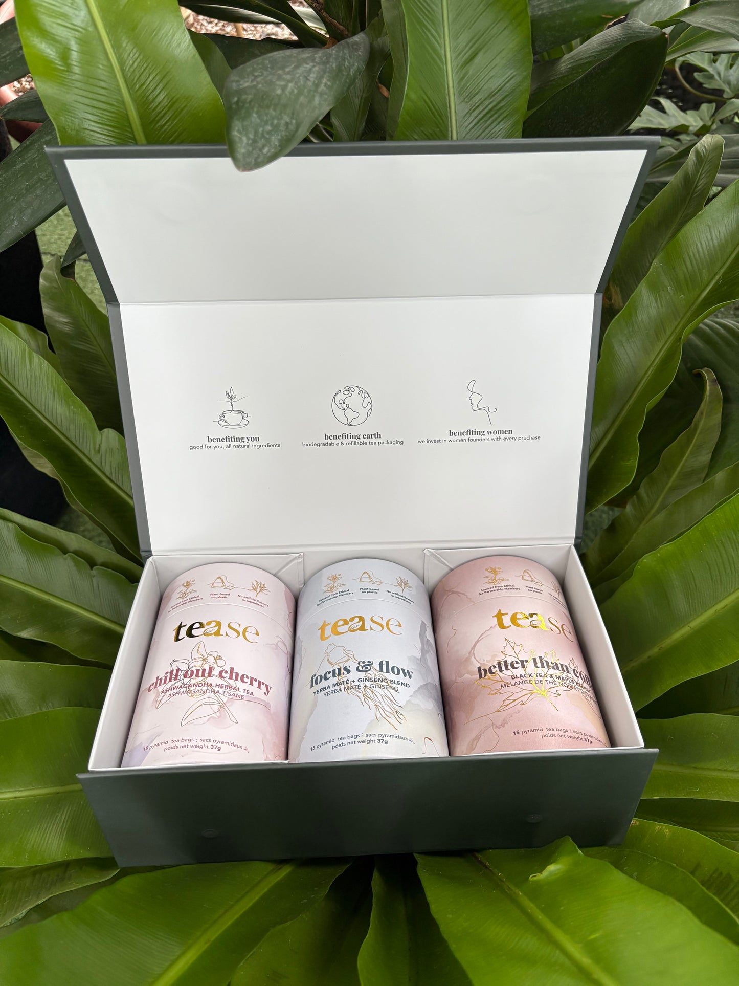 Three tea cans in a box with green leaves in the background