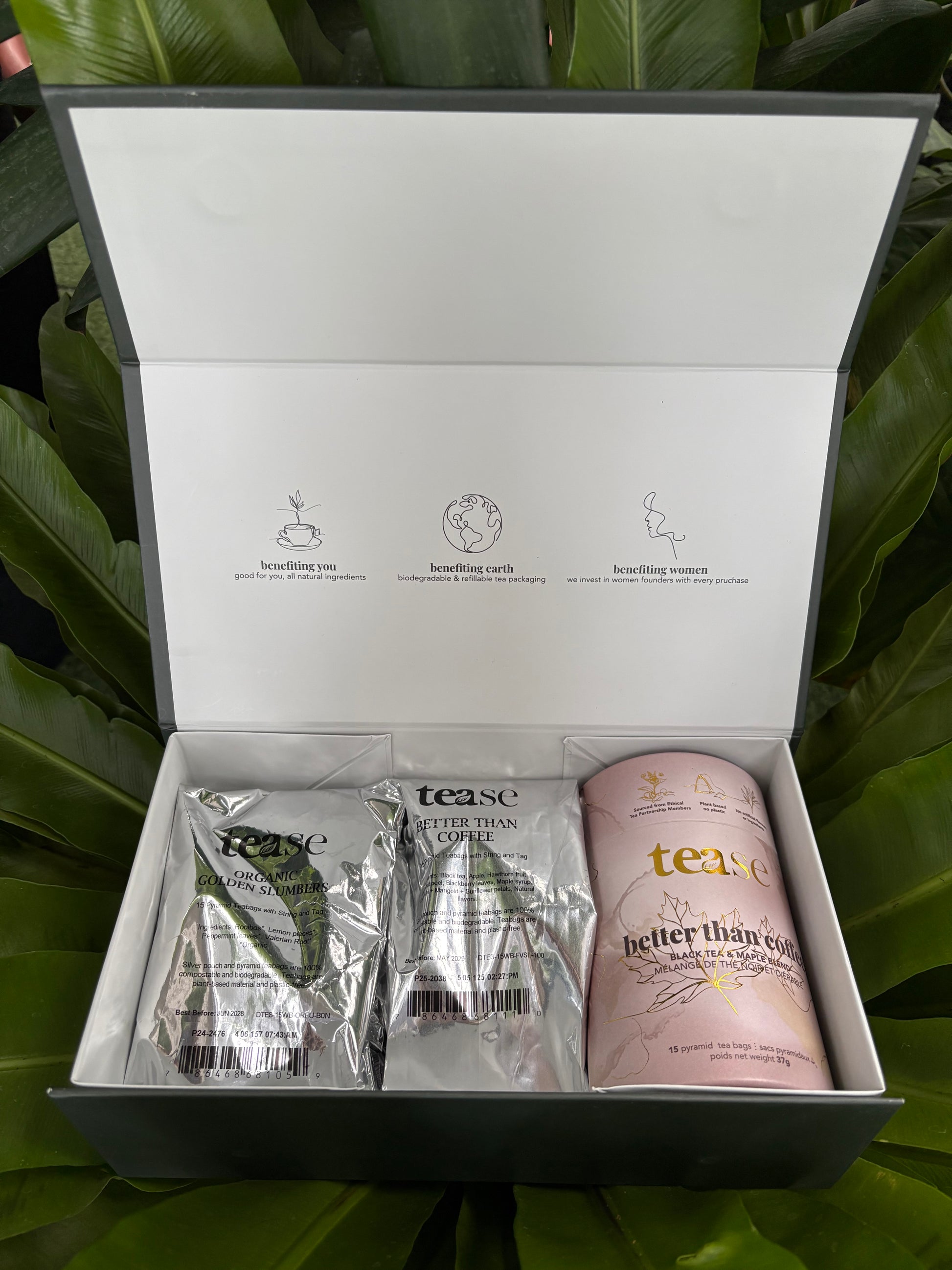 Tease product set with two cans and two packets in an open box against a green leafy background