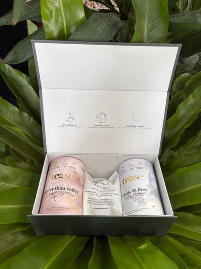 box of two tea cans and a tea refill bag against a leafy background