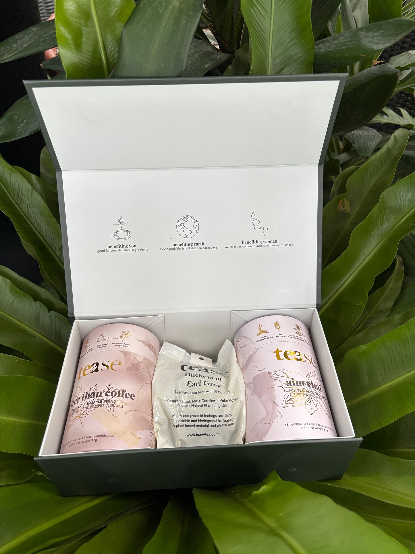 box of tea gift set with two tea cans and a refill bag against a leafy background