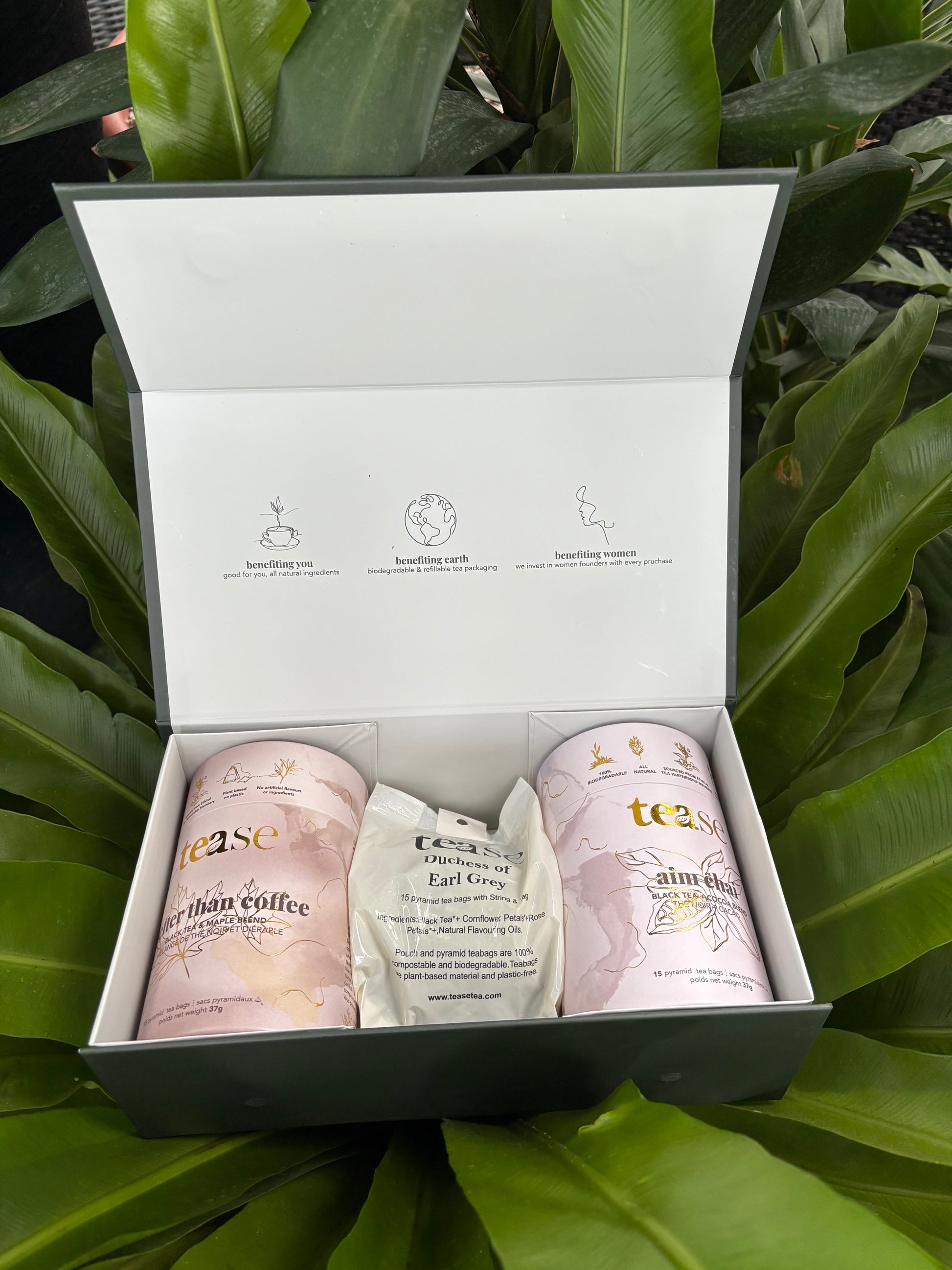 box of tea gift set with two tea cans and a refill bag against a leafy background