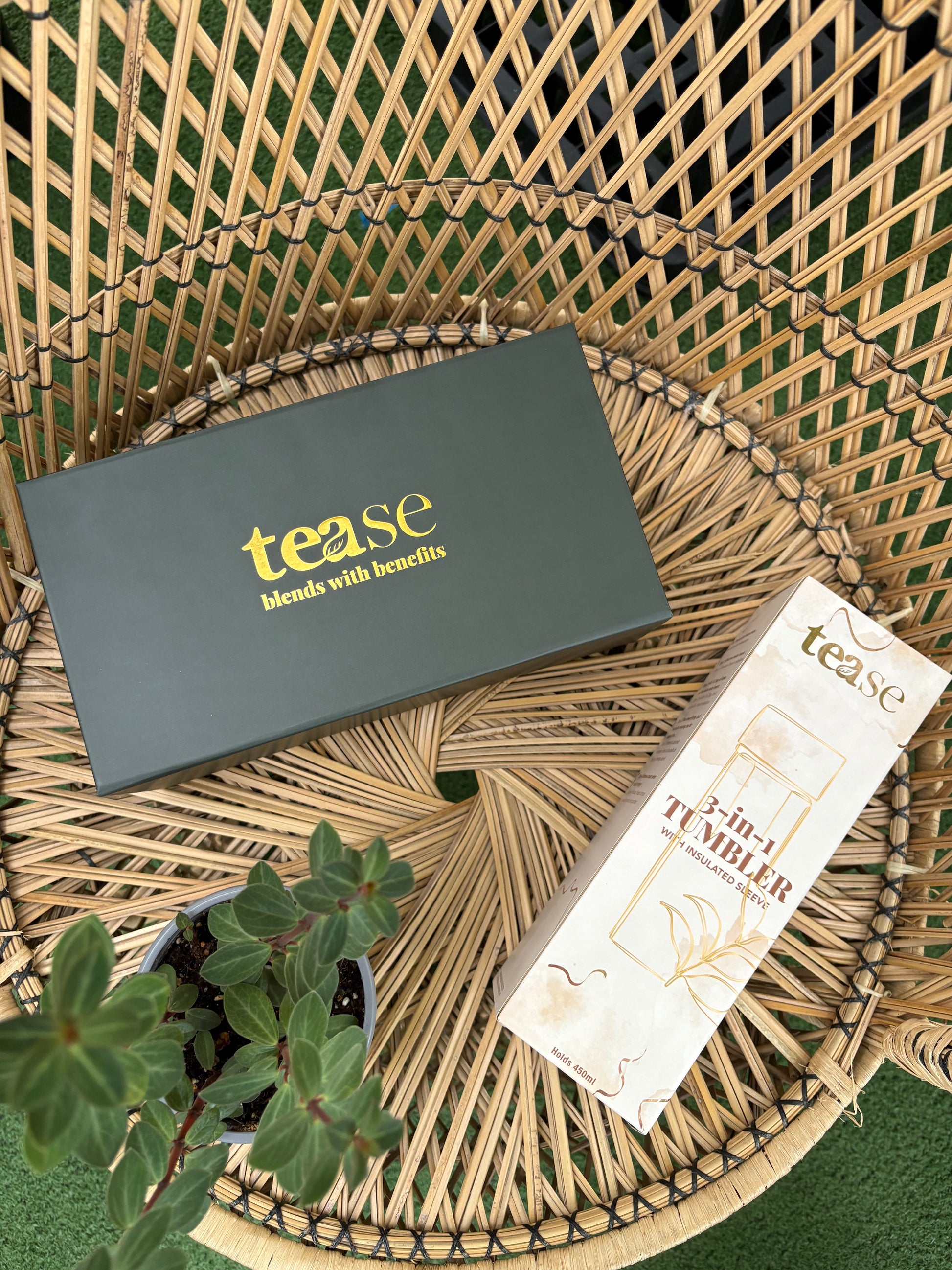 tease tea gift box tumbler and plant on a wicker chair