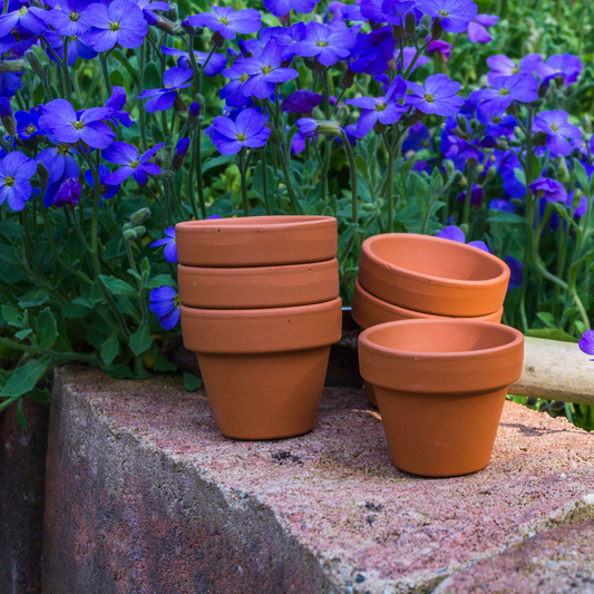 Classic Terracotta Pot – Natural Clay Plant Pot