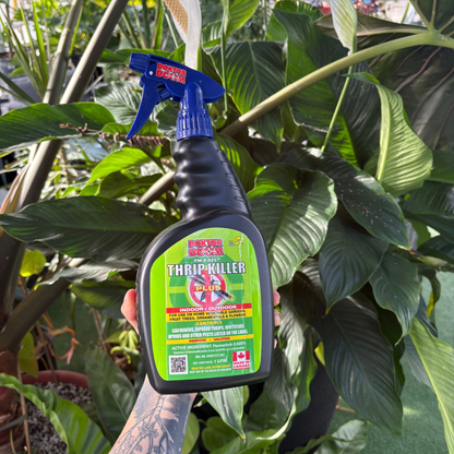 a person holding a black spray bottle with a green label that reads doktor doom thrip killer with many tropical plants in the background