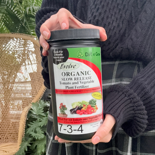 a person holding a black container labeled organic slow release tomato and vegetable plant fertilizer with plants in the background