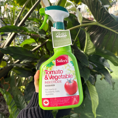 a person holding a green spray bottle of tomato and vegetable insecticide with many tropical plants in the background