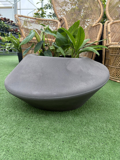 a top pot low grey planter on a green surface