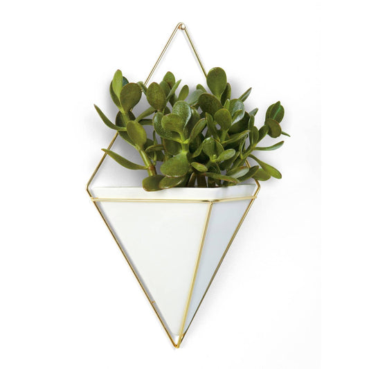 A white geometric wall-mounted planter with a gold wire frame containing a small green plant.