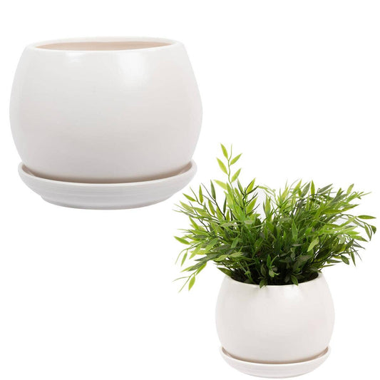 A white matte ceramic planter with a built-in saucer at the bottom, displayed both empty and with a green plant growing out of it.