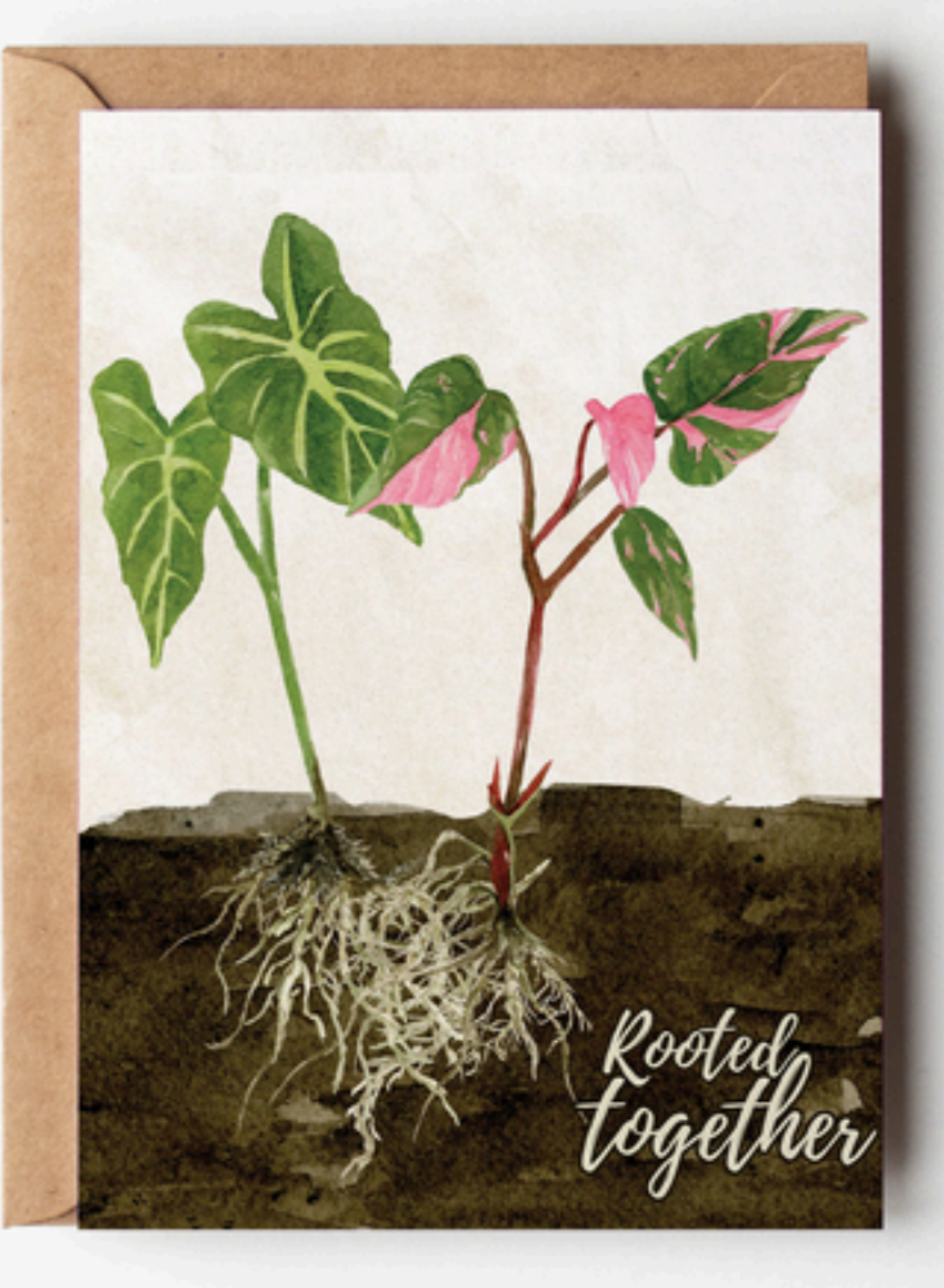 watercolour Card with plant illustration and 'Rooted together' text on a textured background