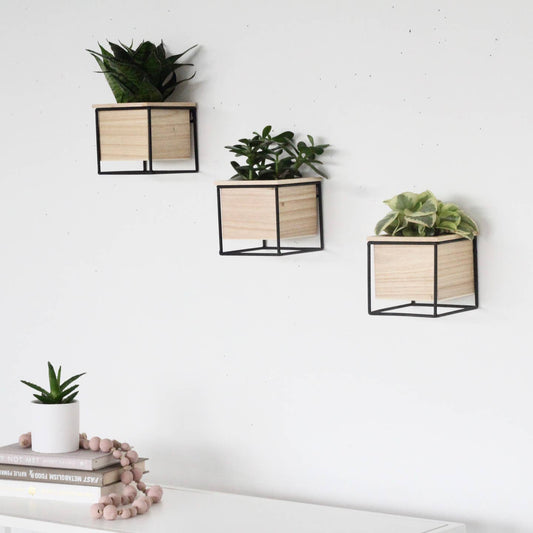 Three wooden wall planters with black metal frames mounted on a white wall, containing various plants. The planters are placed above a white surface which appears to be a shelf.