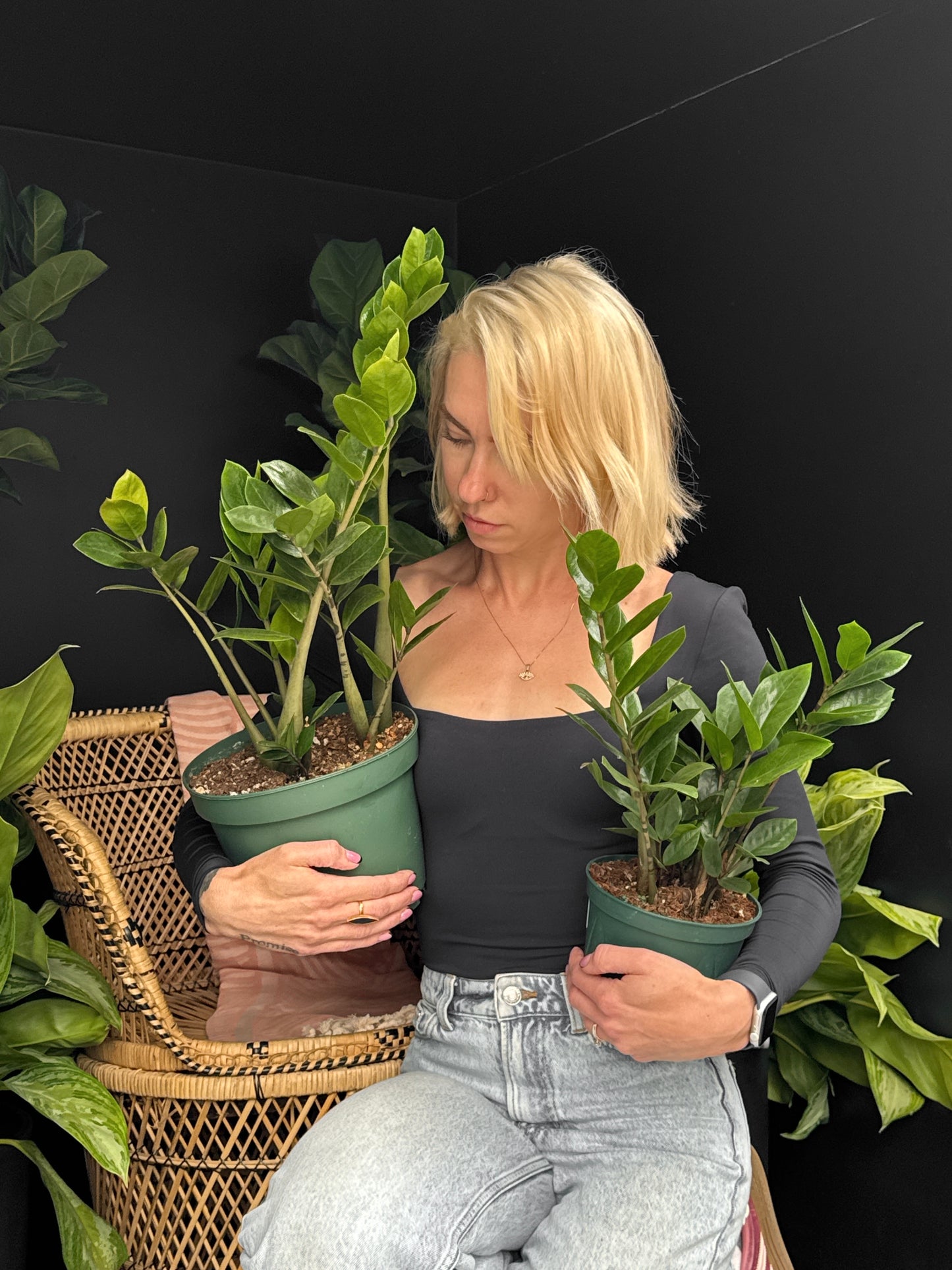 person holding two zz plants with dark background